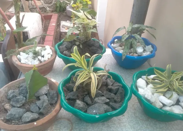 Babajay Family Home
